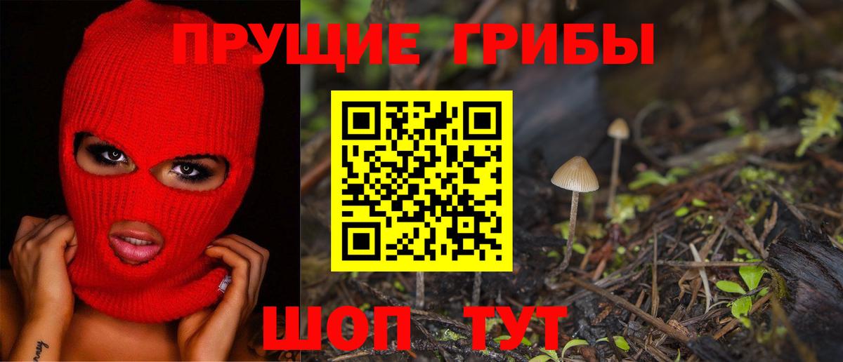 Калуга  Псилоцибиновые грибы мицелий  Вход с VPN 